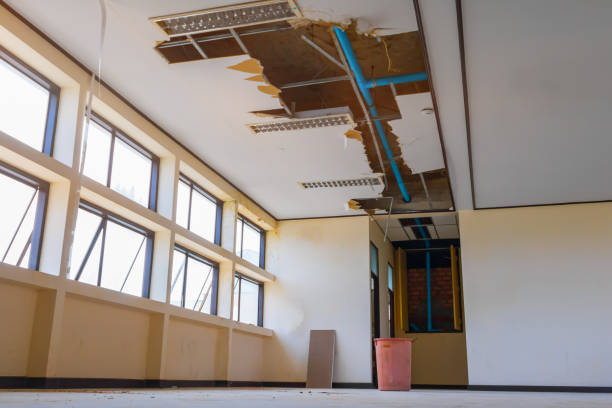 Best Water damage contractors near me  in Lake Shore, MD