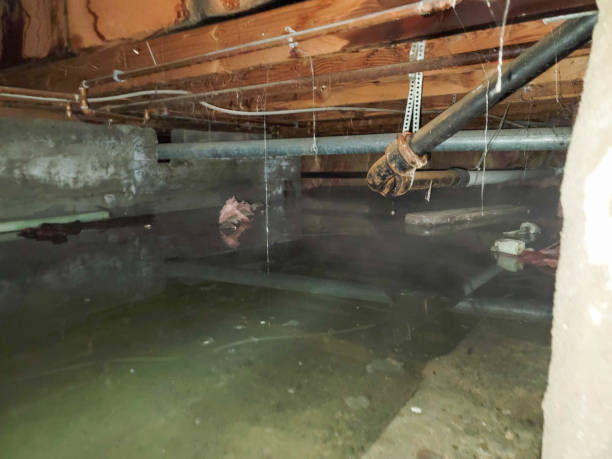 Water damage restoration mold remediation in Lake Shore, MD