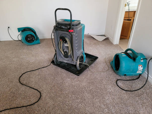 Best Water damage restoration mold remediation  in Lake Shore, MD