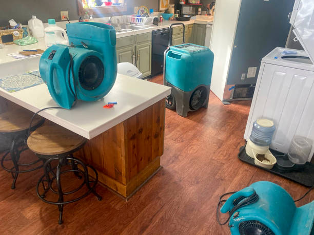 Best Water damage restoration near me  in Lake Shore, MD