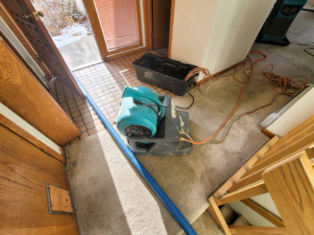 Best Commercial water damage restoration  in Lake Shore, MD