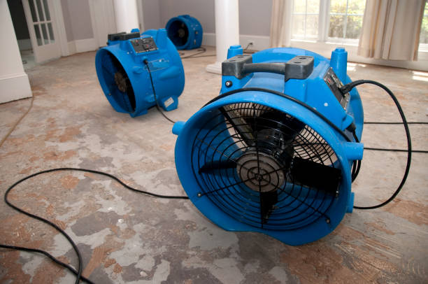  Lake Shore, MD Water damage restoration Pros