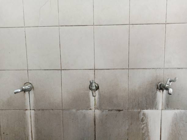 Best 24-hour water damage restoration  in Lake Shore, MD