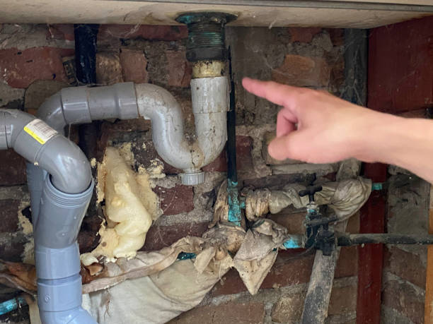 Best Water damage restoration near me  in Lake Shore, MD