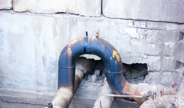 Best Flood restoration services  in Lake Shore, MD