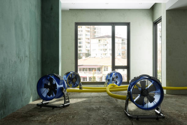 Water damage restoration process in Lake Shore, MD